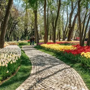 پارک امیرگان استانبول | میزبان بلیط